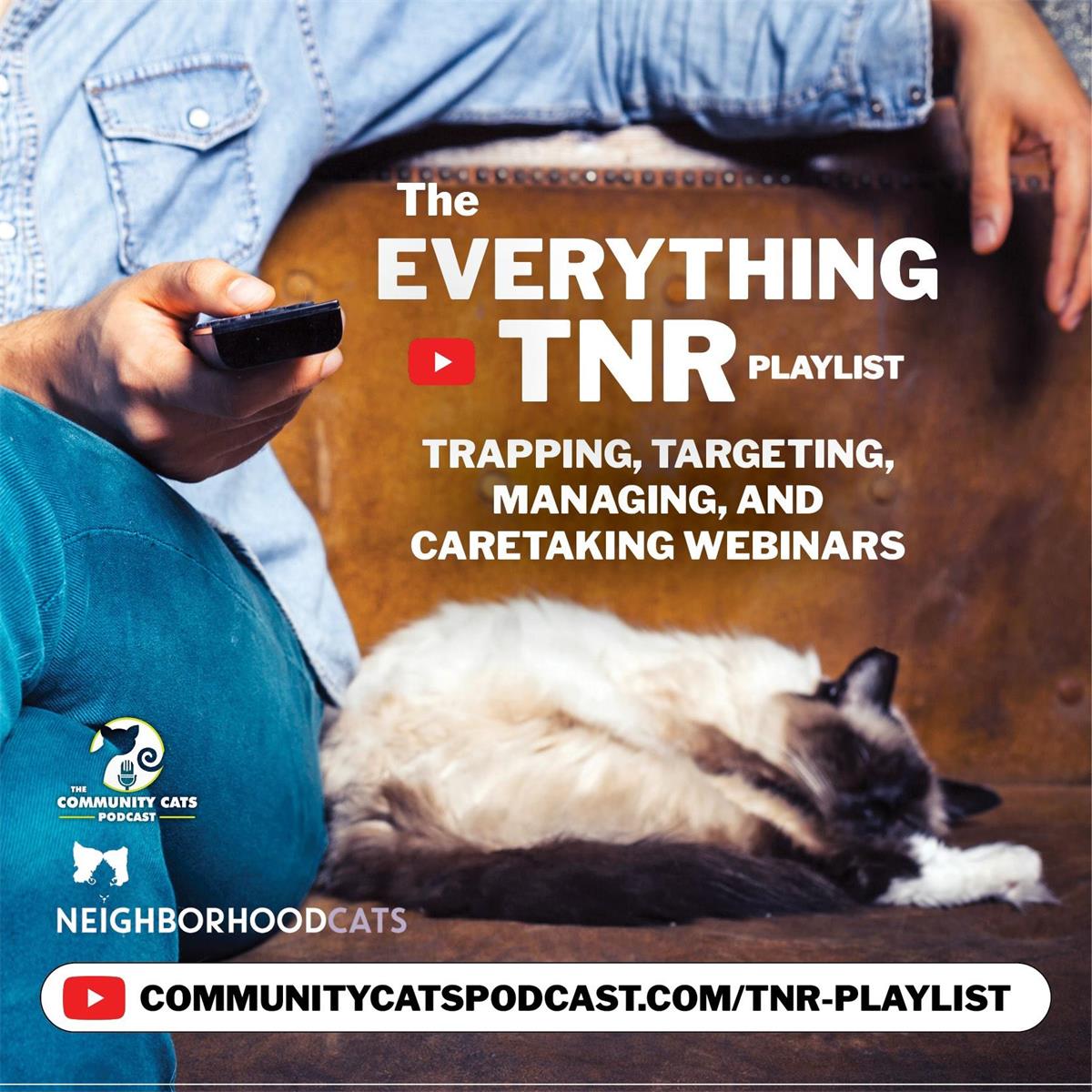 The Everything TNR Playlist flyer